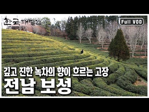 맛 고운 녹차가 만들어지는 풍성한 삶의 터전, 3경 3향의 고장 전남 보성으로 떠나본다. (KBS 20130112 방송)