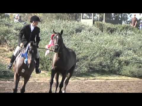 2010 Galway Downs International Three-Day Event: S...