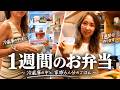 【１週間のお弁当】息子たちロンドンへ空港カオスでフライトはキャンセル！？