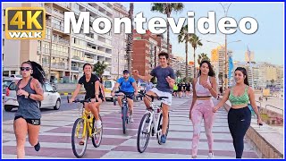 【4K】WALK Sunset  MONTEVIDEO Uruguay 4K video UY Travel vlog