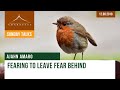 Fearing to Leave Fear Behind | Ajahn Amaro | 12.08.2018