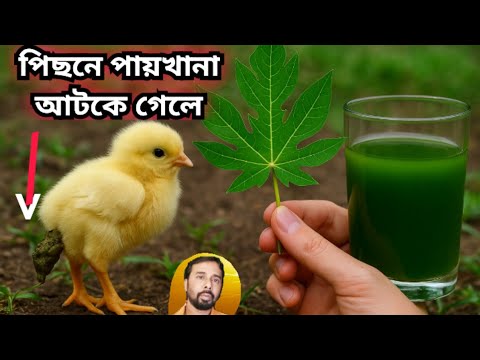 Mahbusning o‘g‘li mast onasini pornografik videoda ko‘rib, qarshilik ko‘rsata olmadi. Yalangoch xotinlar fotosurati sariq suvlar