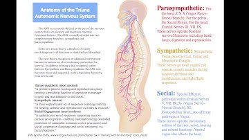 DWYY: Attachment Mastery Presentation - Part 2