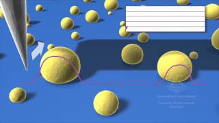 Afmanimationvo02.Wmv