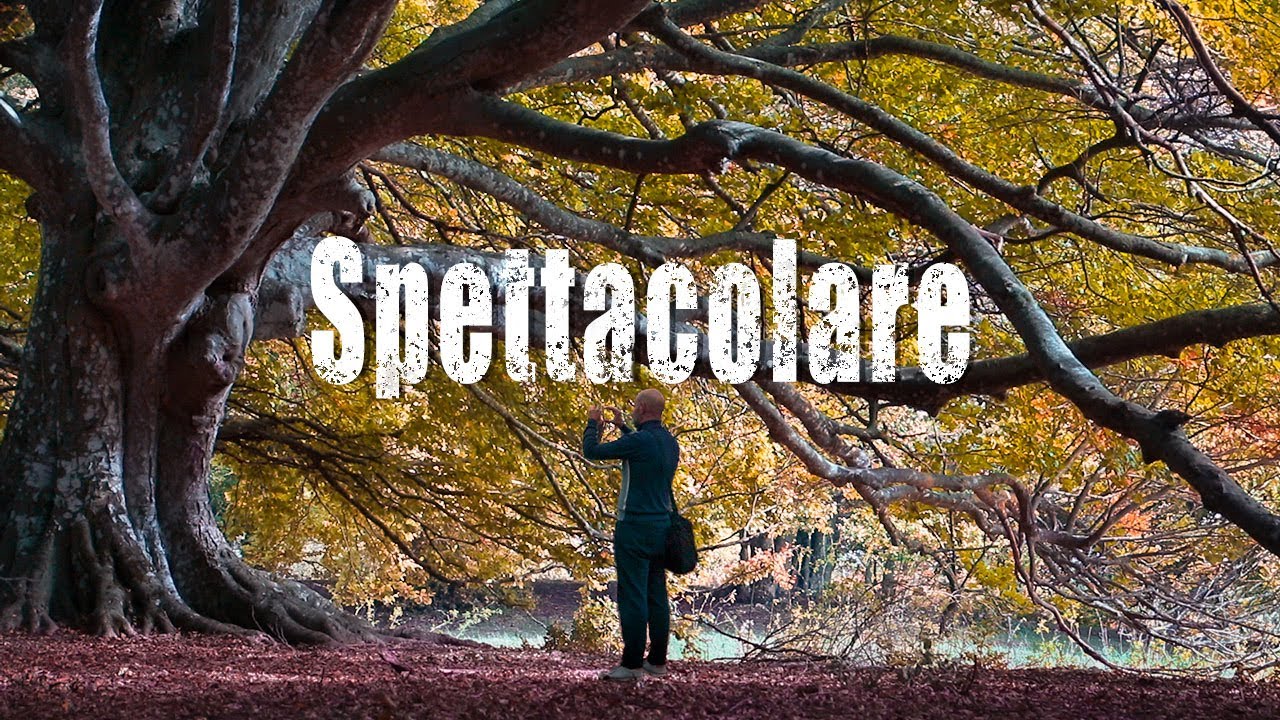 MARCHE da SCOPRIRE: la faggeta di Canfaito e dintorni 