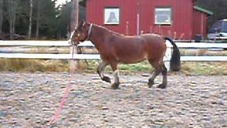 20081113 Sara