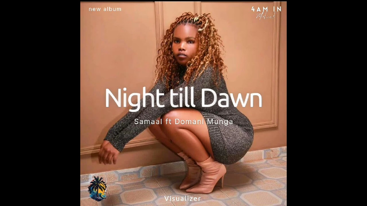 Night till Dawn - Samaal featuring Domani Munga (Official Visualizer).