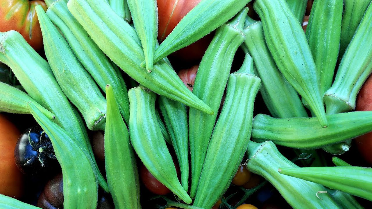 Plodovi zemlje, 10. kolovoza 2025.