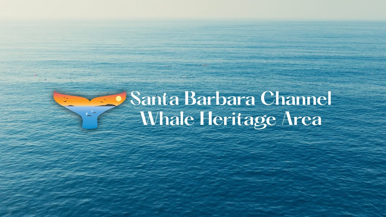 Santa Barbara Channel Whale Heritage Area Intro 