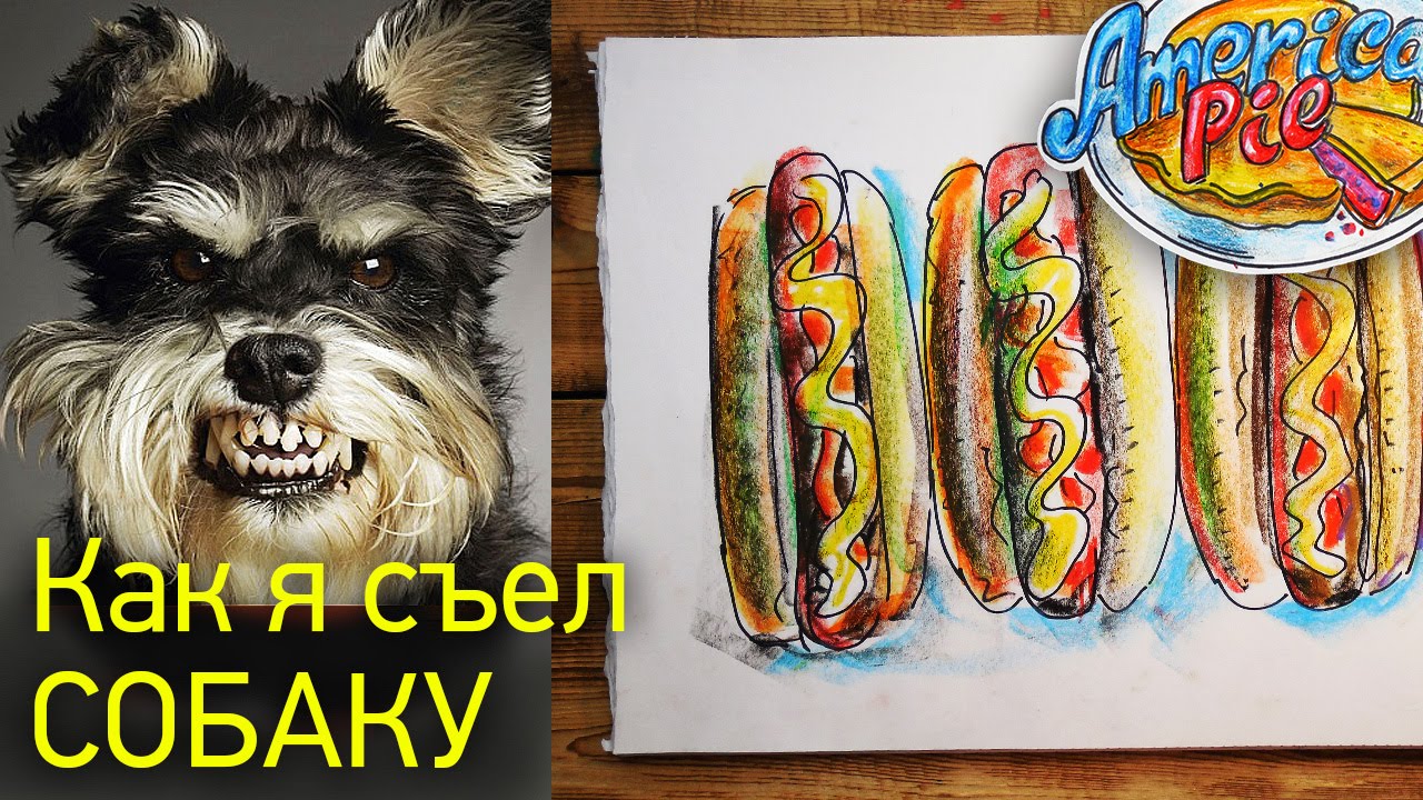 Собака хот дог рисунок. Собачья еда рисунок. Собака с сосиской рисунок.