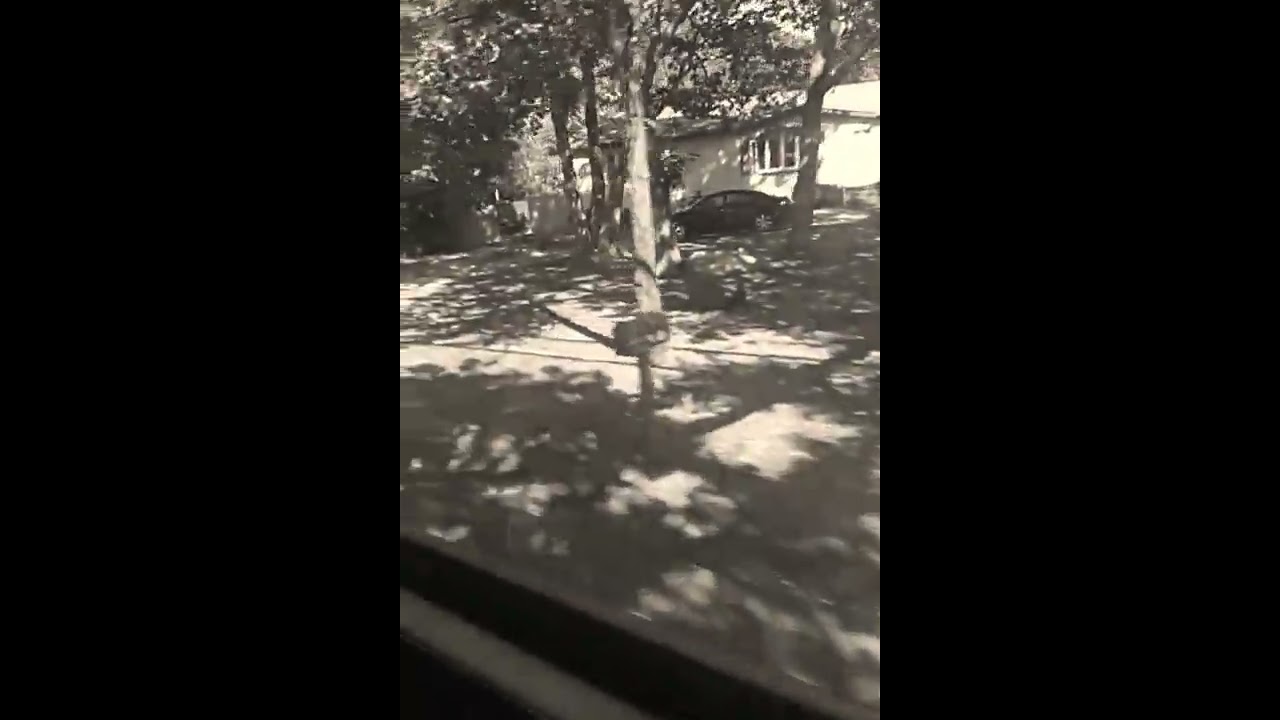 Mi escuela grabado😁😁😁