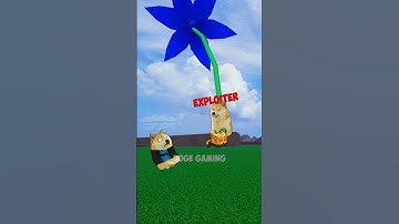 Exploiter annoying🤬💢 | Doge Gaming