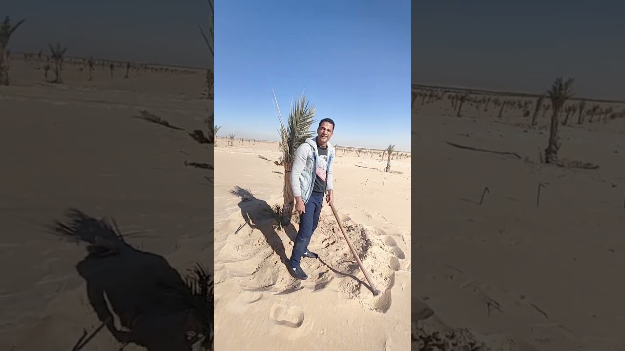 ٢٠ ديسمبر ٢٠٢٣