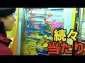 【コインゲーム】ワニパニックで当たり続出!!　PDS