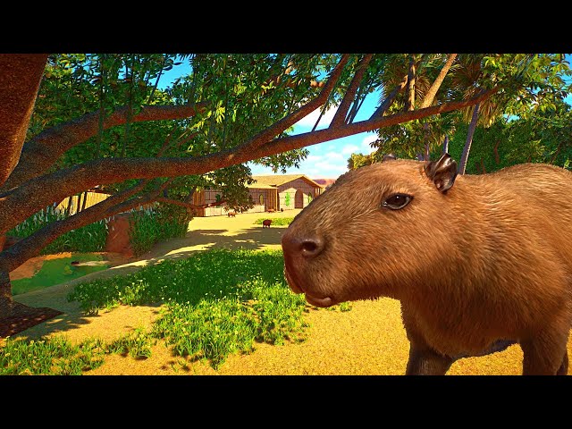 Why Zoo Tycoon Still Has an Advantage Over Planet Zoo