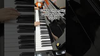 G# key Chromatic Contrary Motion Scale #pianoscales #pianotutorial #piano