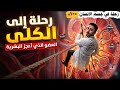 A Journey to the Kidneys mp3
