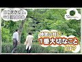 解説!話題の「パワーナップ」睡眠の質を上げる秘訣|#05 筑波大学柳沢正史先生