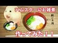 ハムスターにお雑煮作ってみた!!飼い主とハムスターお揃いのお雑煮♪
