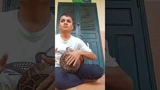 អាយ៉ៃស្គរដៃ