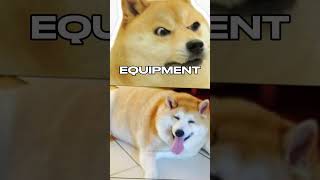 very angry doge vs fat doge who would win?  #meme #memes #amazingmemes #funnymemes #funny #memefun