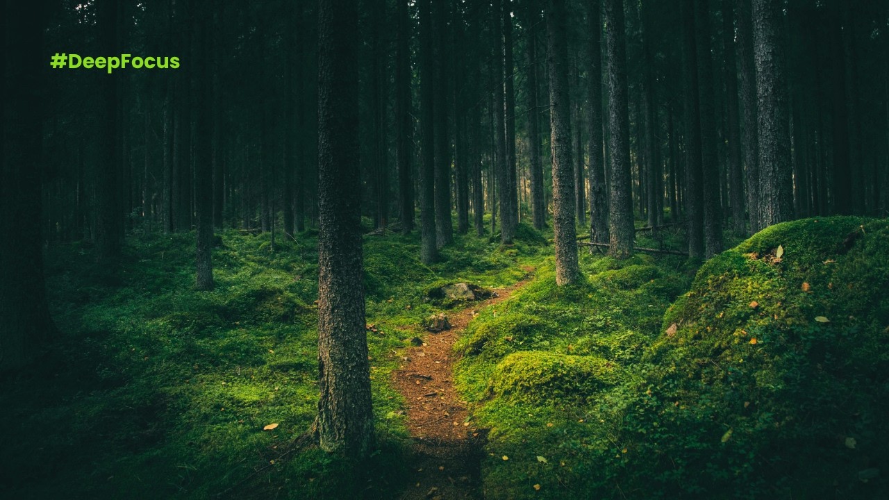 Regardez Deep Focus and Mental Clarity 🌿 Gentle Chill Music for Productivity and Flow #BrauLofi sur YouTube Regardez Deep Focus and Mental Clarity 🌿 Gentle Chill Music for Productivity and Flow #BrauLofi sur YouTube