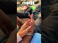 Latest Trending Romantic 💖 Love Story Ringtone | Couples Whatsapp Status #ringtone #shorts
