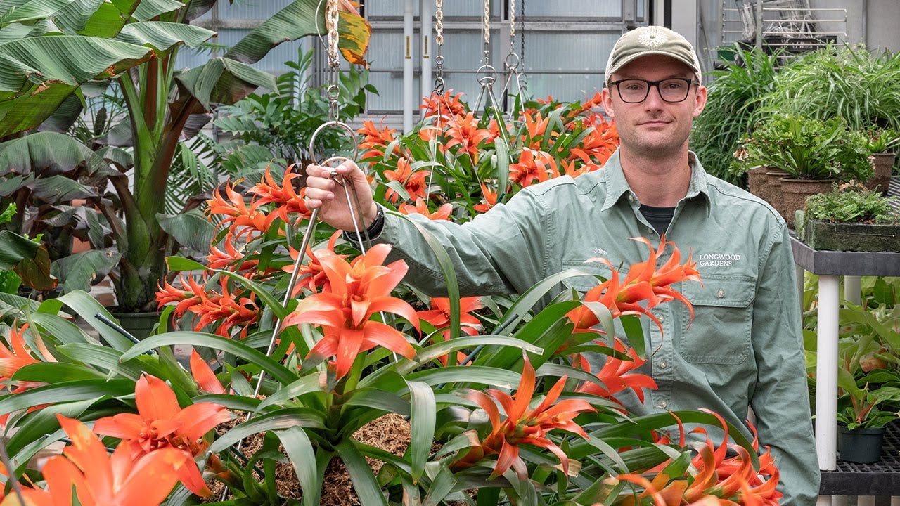 Science Series: Reimagining a Landscape Under Glass: Mediterranean Seasonal Plants
