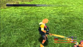 Final Fantasy X HD - Stat Maxing S levels Tonberry Method Details