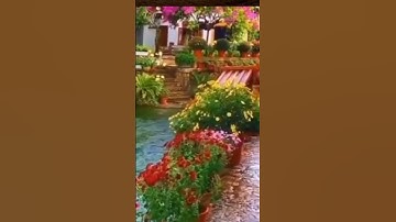 تلاوة خاشعة للشيخ محمد السايح #القرآن_الكريم #كنوز_القرآن #المنشاوي