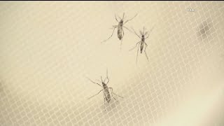 How to protect yourself against West Nile virus
