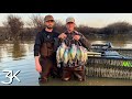 Wading for giant mississippi crappie  solo limit in the ironwoods