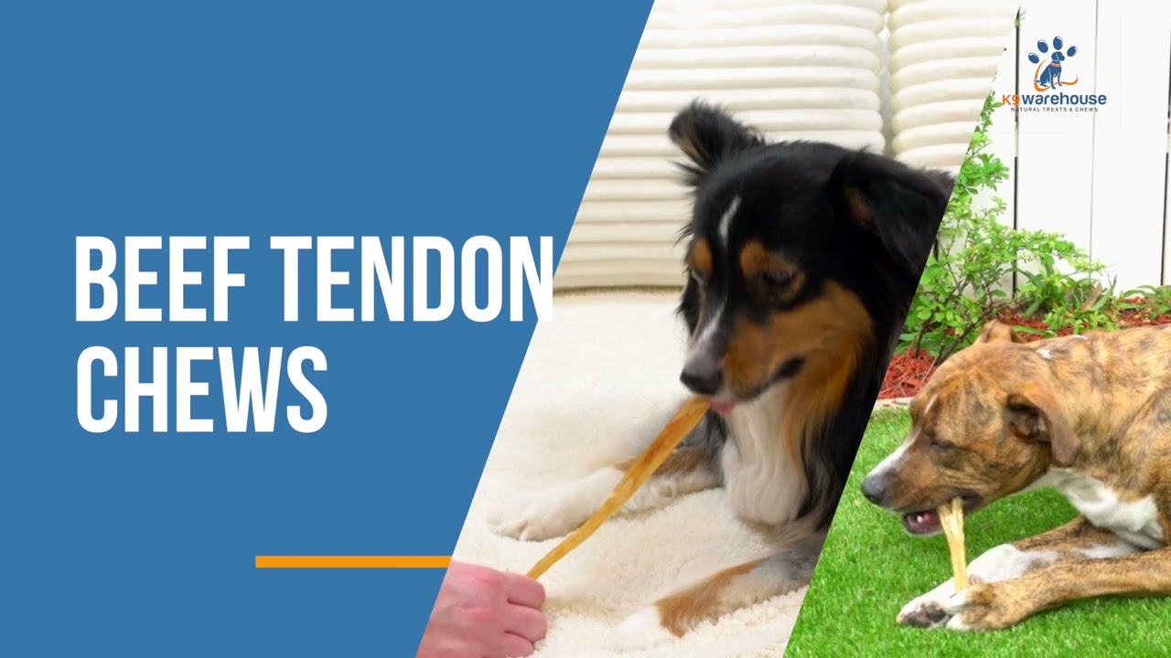 Best Yak Chews for Dogs 🐶 | Long-Lasting Himalayan Treats for Aggressive Chewers | k9warehouse