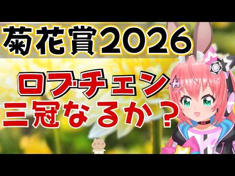 【競馬同時視聴】菊花賞、ロブチェンは三冠達成いける！？【競馬】　　フワフワ☆サッカーVTuber #光りりあ