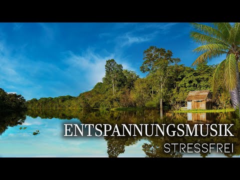 Entspannungsmusik Indianerflöte mit Wasser und Regenwaldgeräuschen zur Beruhige deinen Geist
