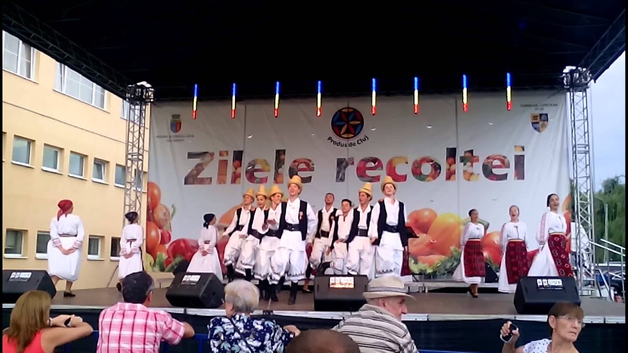 Ansamblul Somesul Apahida