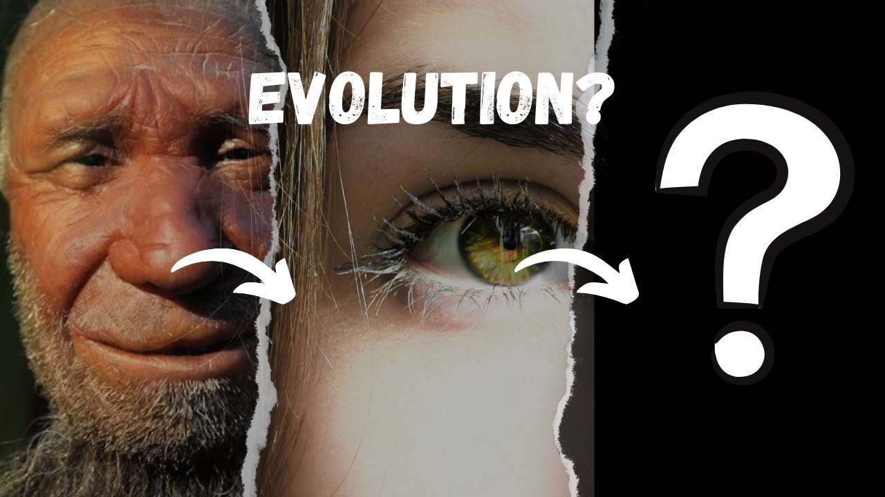 Was kommt nach der künstlichen Intelligenz? – Die nächste Stufe der Evolution