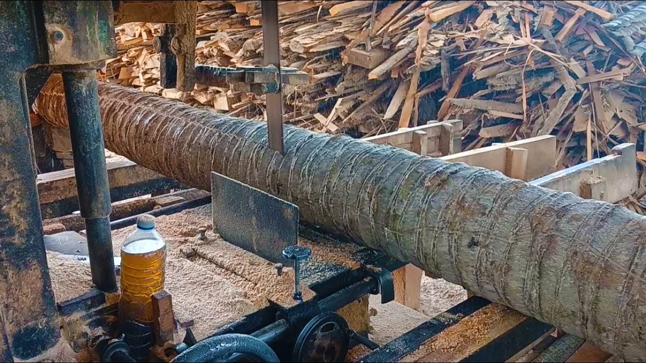 Discover the Best Tools for Cutting Coconut Tree Wood – You Won’t Believe the Results!