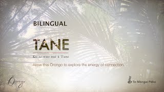 Download Lagu TĀNE - Bilingual MP3 Download Lagu TĀNE - Bilingual MP3