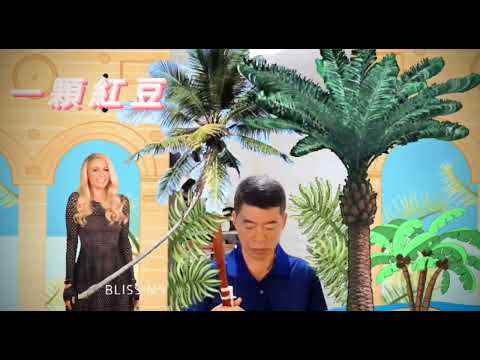 一顆紅豆～二胡演奏 鳳飛飛 伊人知否（瓊瑤電影主題曲）秦漢 林青霞主演 A Love Seed by Fei-Fei Fong 蔡幸娟 費玉清 黃金夜總會 張學友 Lawmovieworld13