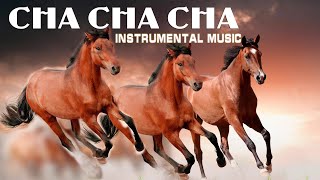 (4 Hours) Golden Instrumental Cha Cha Cha MUSIC - Best of RELAXING MUSIC 2023