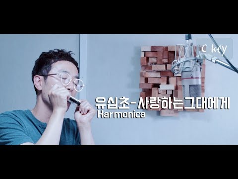 유심초 사랑하는그대에게 Harmonica Cover 정훈 C키