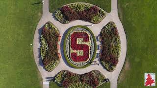 Hail, Stanford, Hail!