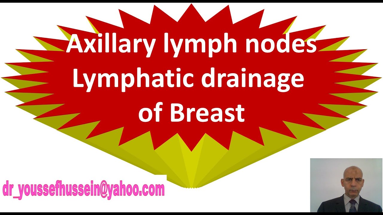 2  Lympatic drainge Breast axillary LN
