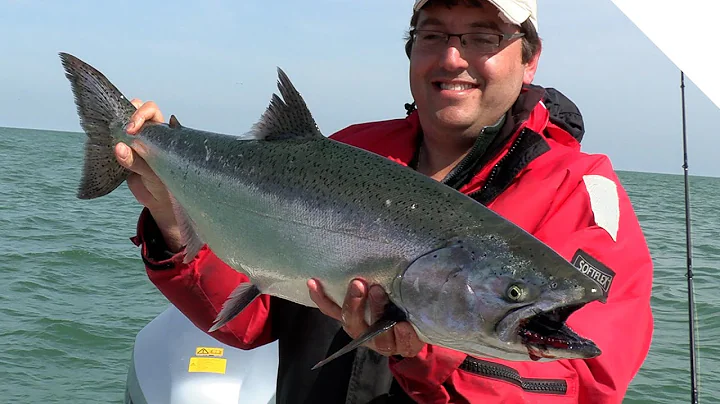 Catching springtime salmon