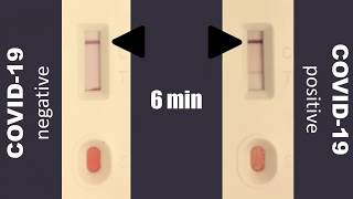 Product page:
https://www.raybiotech.com/covid-19-igm-igg-rapid-test-kit/this is an
instructional video for the raybiotech coronavirus (covid-19) igm/igg
ra...