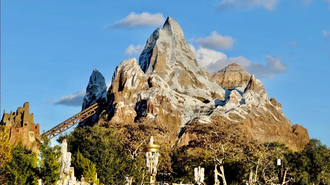 Crowds Before New Years Eve at Disney's Animal Kingdom Filmed in 4K