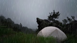 CAMPING IN THE RAIN | Relax and Sleep in the Tent ASMR