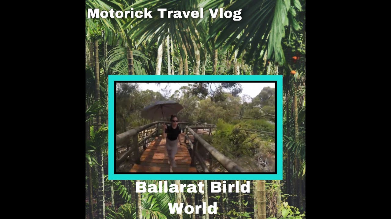 Ballarat Bird World YouTube