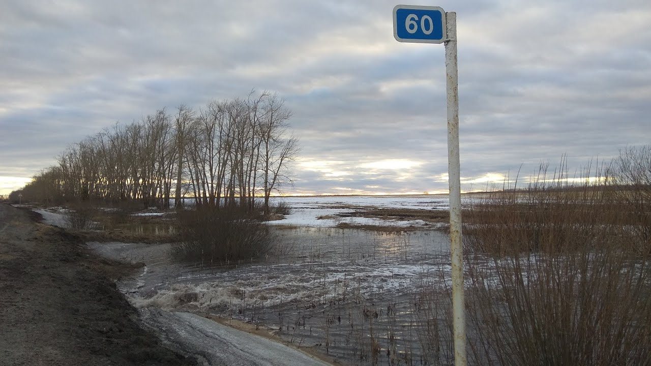 Ушинка, Земетчинский. Река машня Земетчинский район. Ушинка фото.